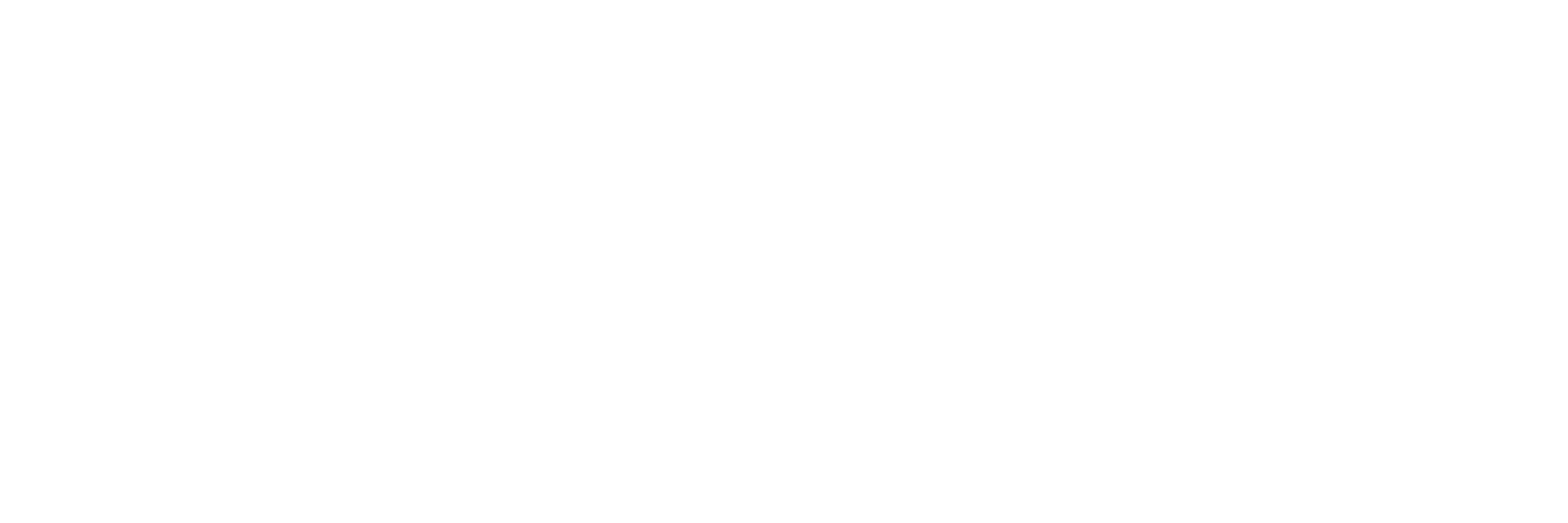 Chamana Ibiza logo